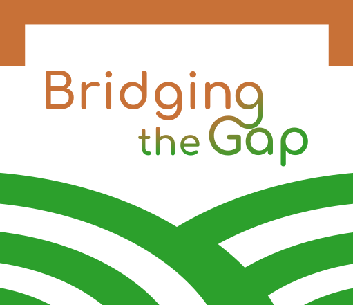 Bridging the Rural Gap